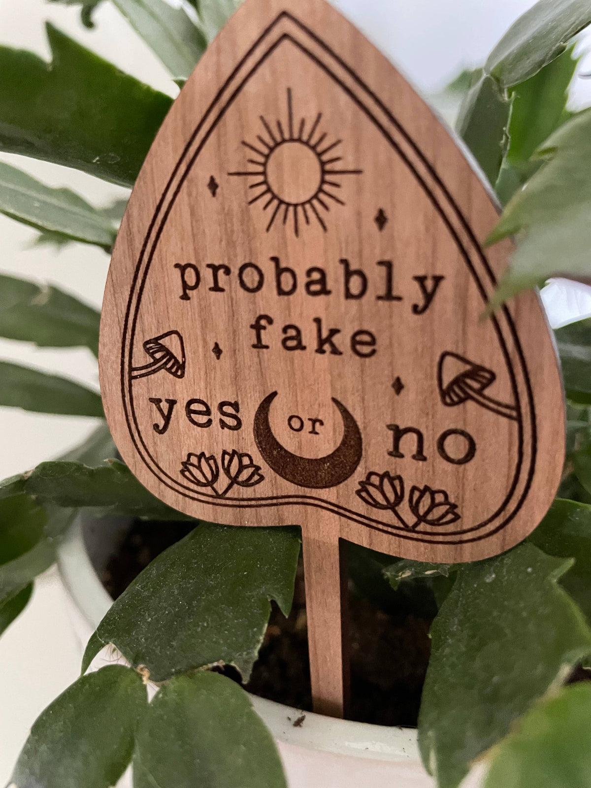 Witchy Vibes Plant Signs