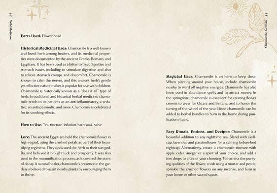 Wild Medicine: The Magick of Herbs. Illustrated Hardcover