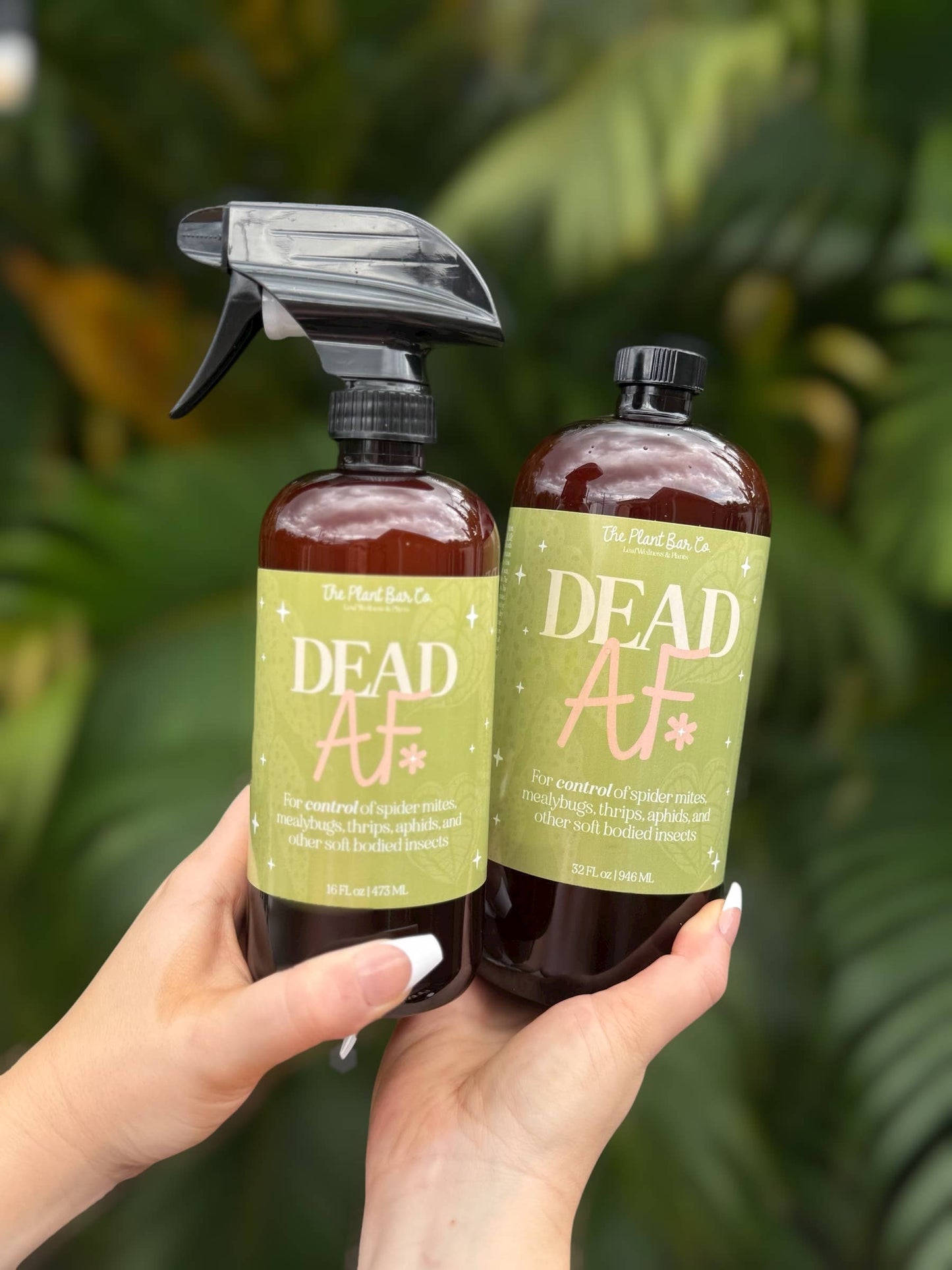 Dead AF - Houseplant Pest Control