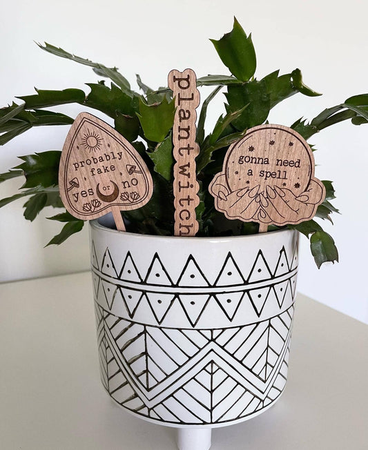 Witchy Vibes Plant Signs