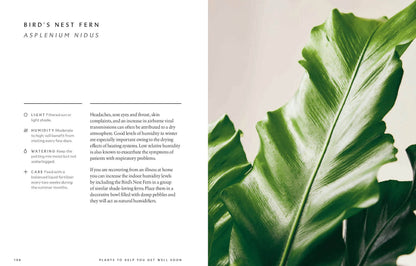 The Healing Power of Plants