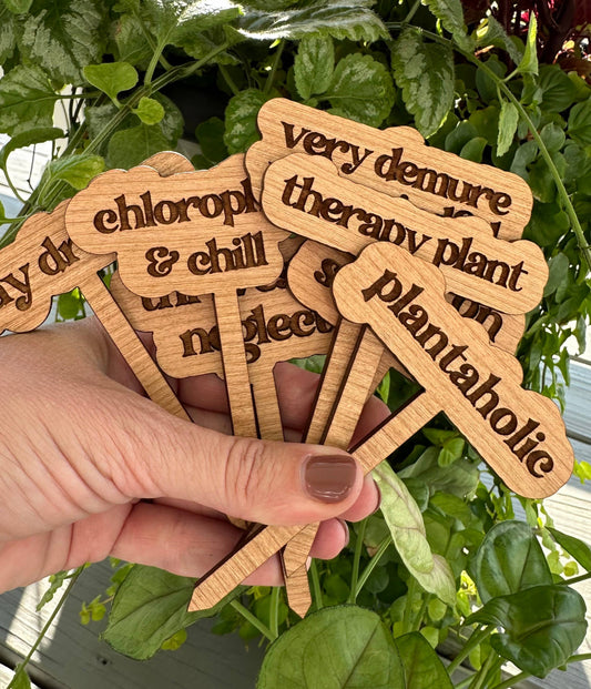 New Plant Sayings Word Bubbles Funny Plant Stakes
: Therapy plant