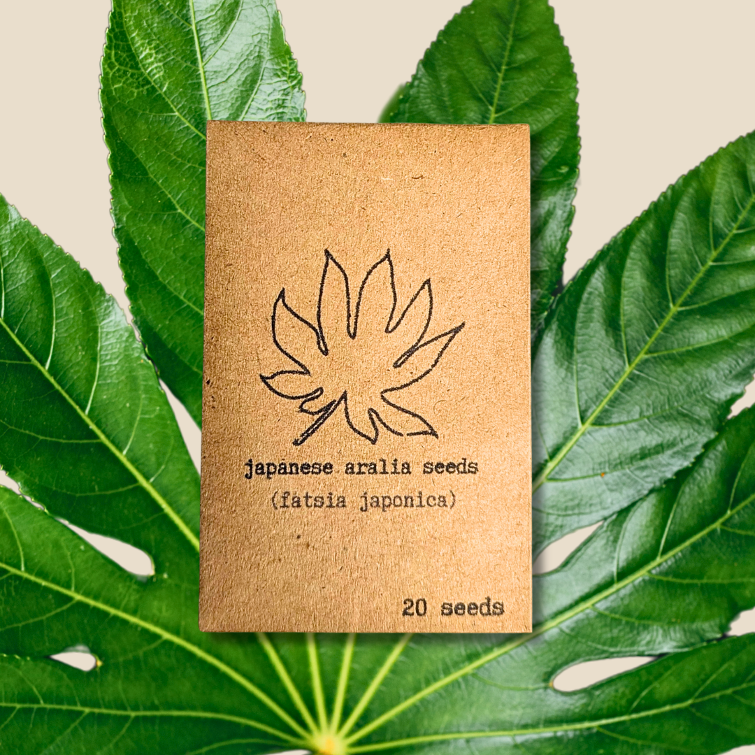 Houseplant & Tropical Plant Seeds