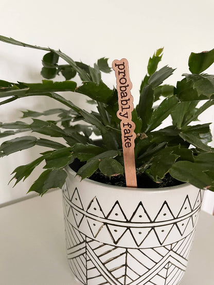 Punny Plant Stakes / Funny Plant Markers