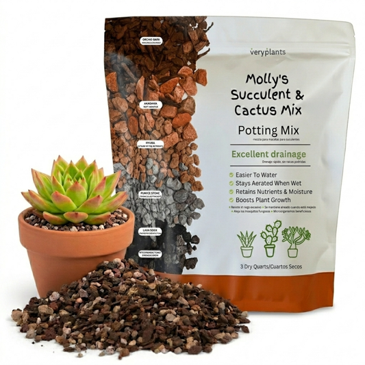 Molly's Succulent & Cacti Mix - 3 dry quarts