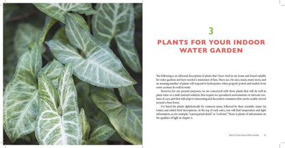 Hydroponics for Houseplants: An Indoor Gardener's Guide