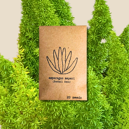 Houseplant & Tropical Plant Seeds