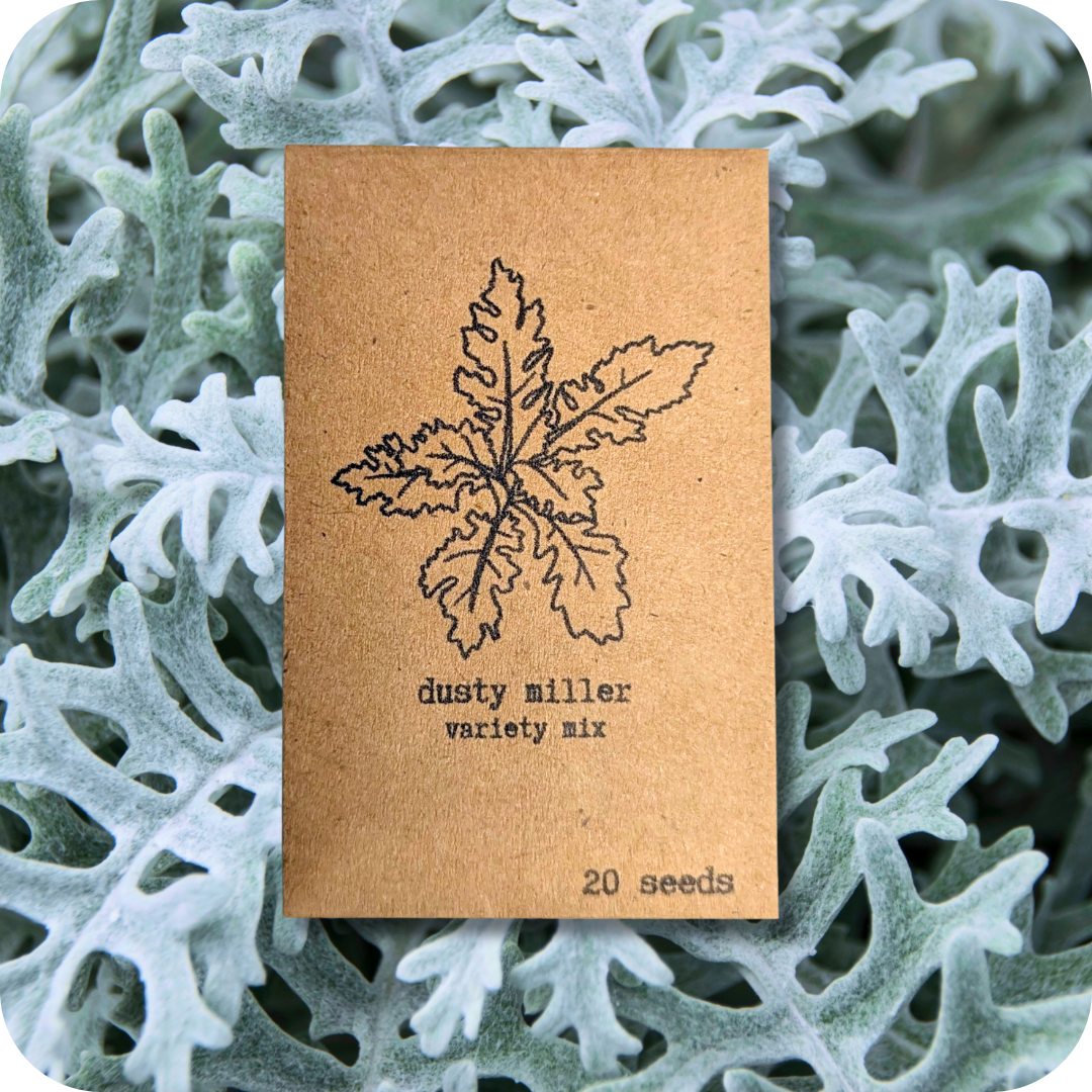Houseplant & Tropical Plant Seeds