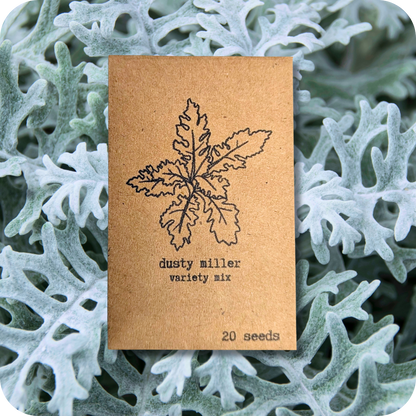 Houseplant & Tropical Plant Seeds