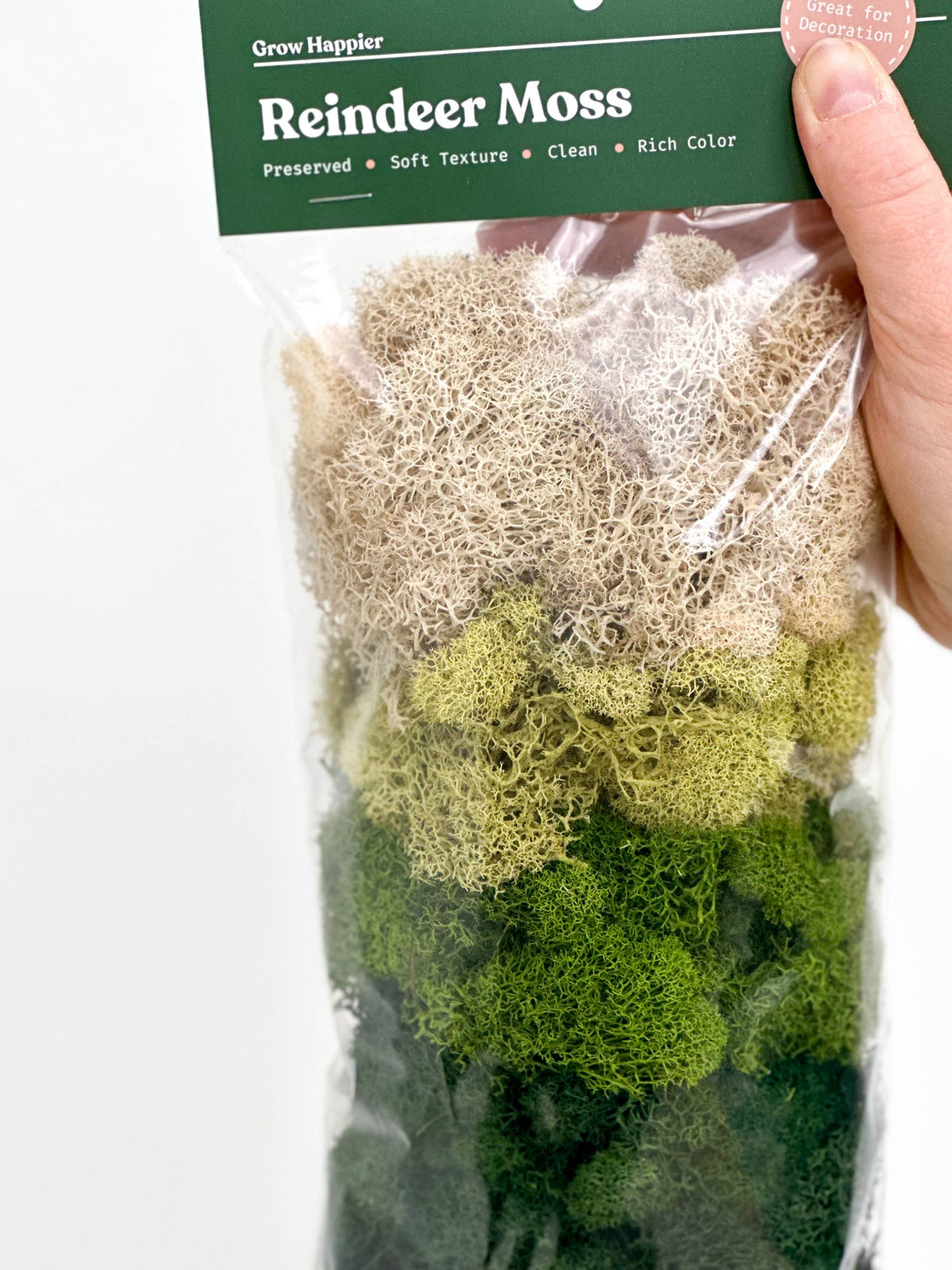 Terrarium Moss - Preserved Dried Reindeer Moss 90g Bag