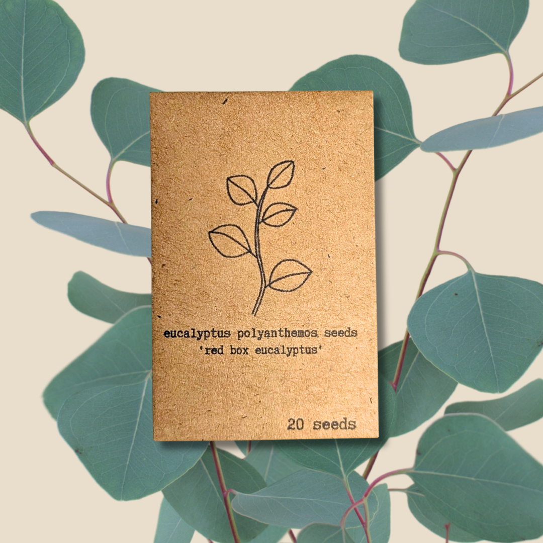 Houseplant & Tropical Plant Seeds