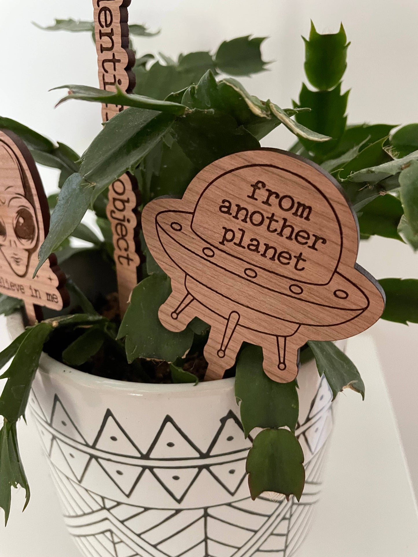 Alien Outer Space Area 51 Plant Signs