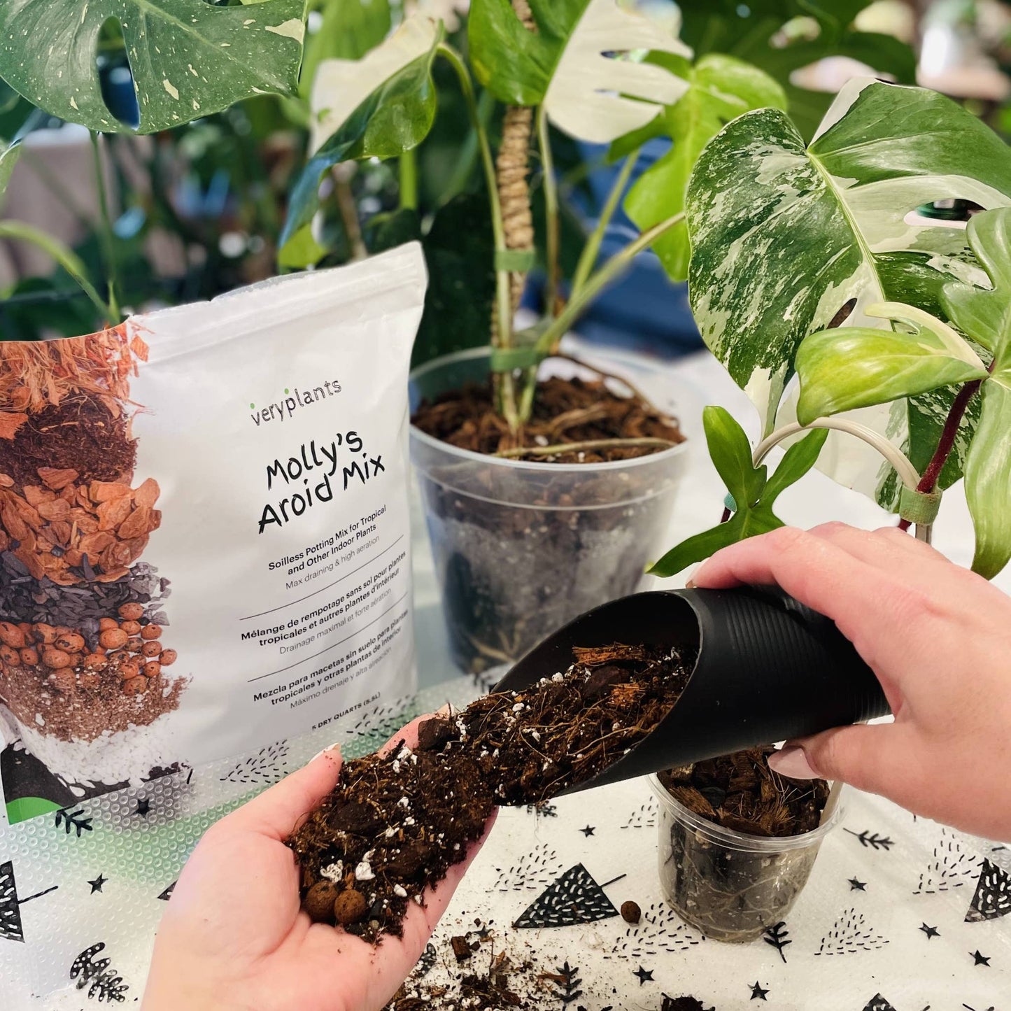 Molly's Aroid Mix - Premium Soilless Potting Mix - 1 Cu Ft