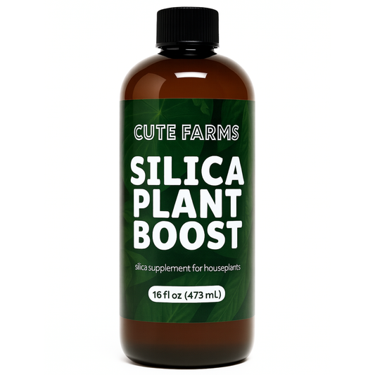 Silica Plant Boost – Strength & Resilience Supplement