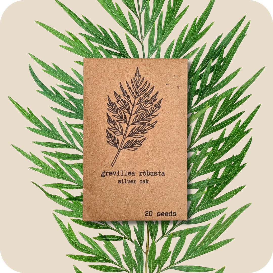 Houseplant & Tropical Plant Seeds