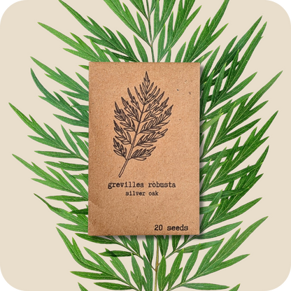 Houseplant & Tropical Plant Seeds
