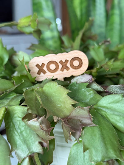 Valentines Day Hearts Plant Stakes