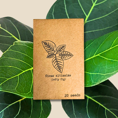Houseplant & Tropical Plant Seeds