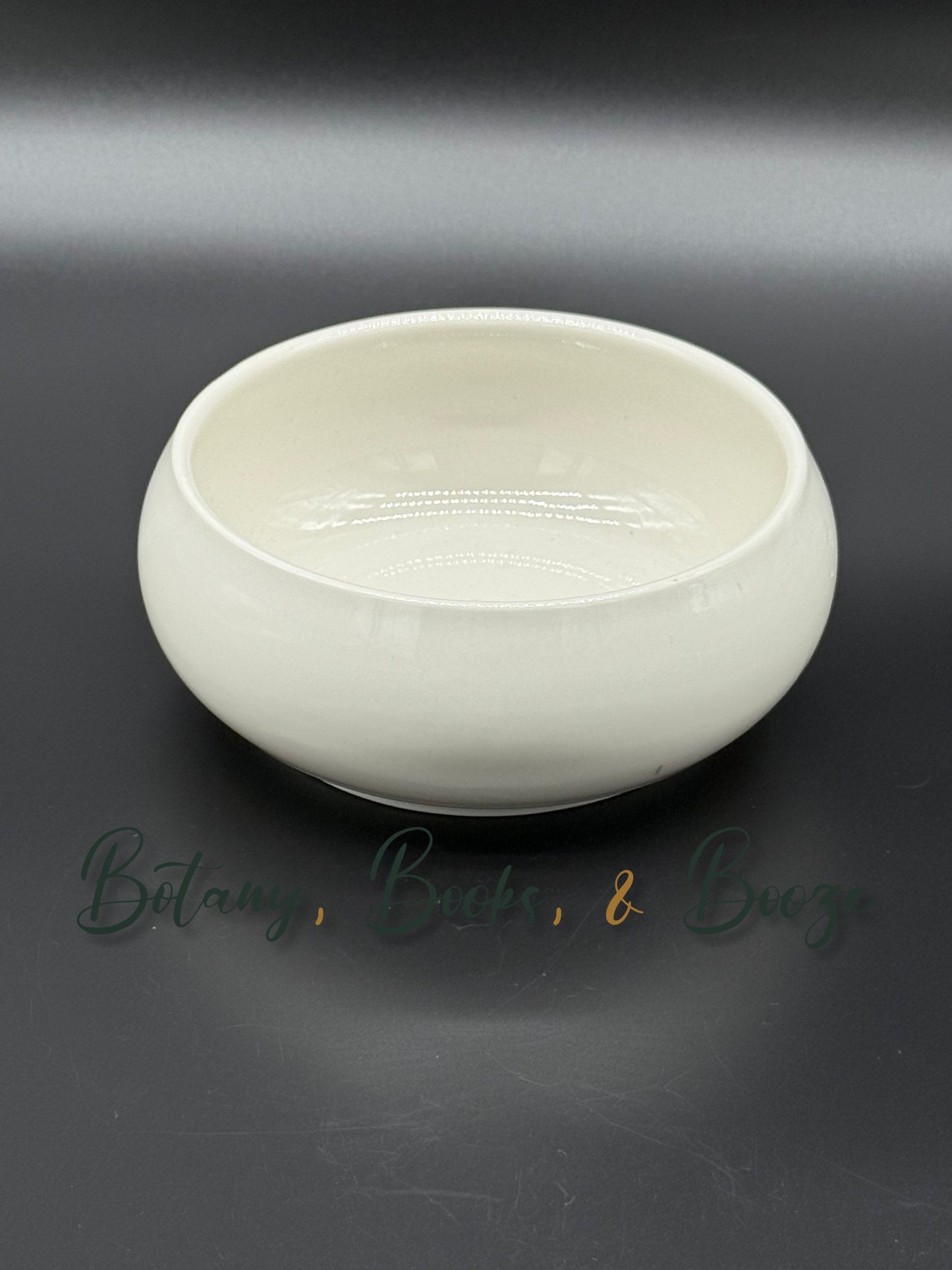 White low glazed succulent bowl