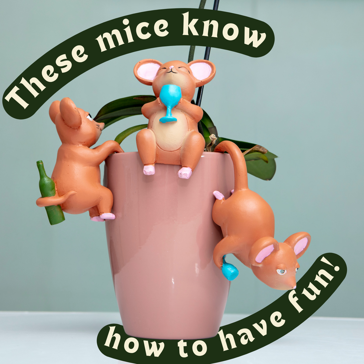 Tipsy Tails Plant Pot Hangers - Houseplant Accessories