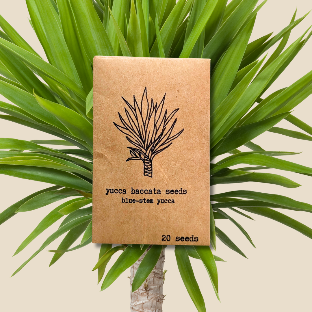 Houseplant & Tropical Plant Seeds