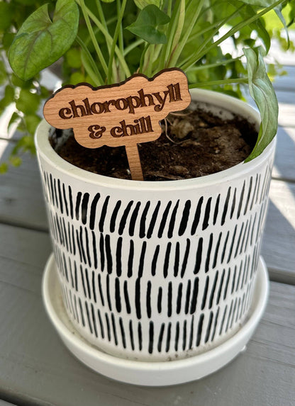 New Plant Sayings Word Bubbles Funny Plant Stakes