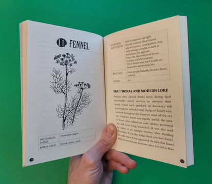 Everyday Herbal Teamaking: Health, Fun, and Self-Care Guide