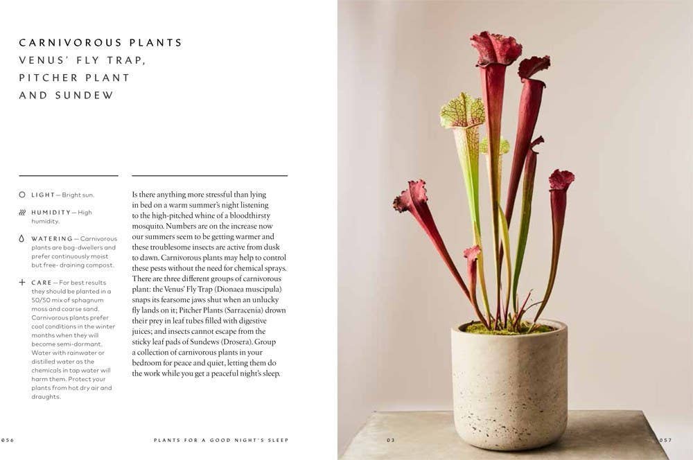 The Healing Power of Plants