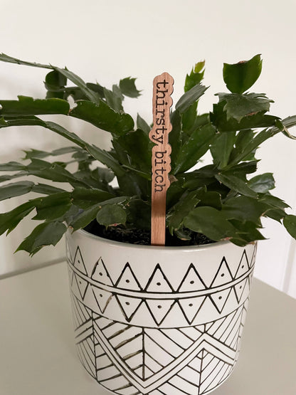 Punny Plant Stakes/ Funny Plant Markers