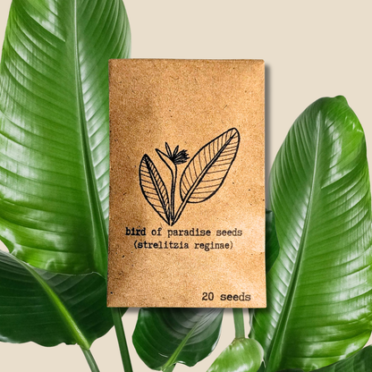 Houseplant & Tropical Plant Seeds
