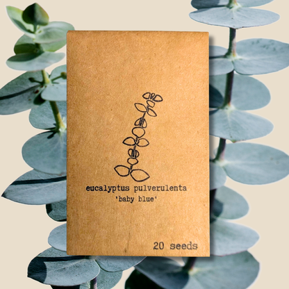 Houseplant & Tropical Plant Seeds