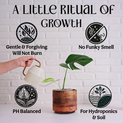 Liquid 5-5-5 Plant Food
