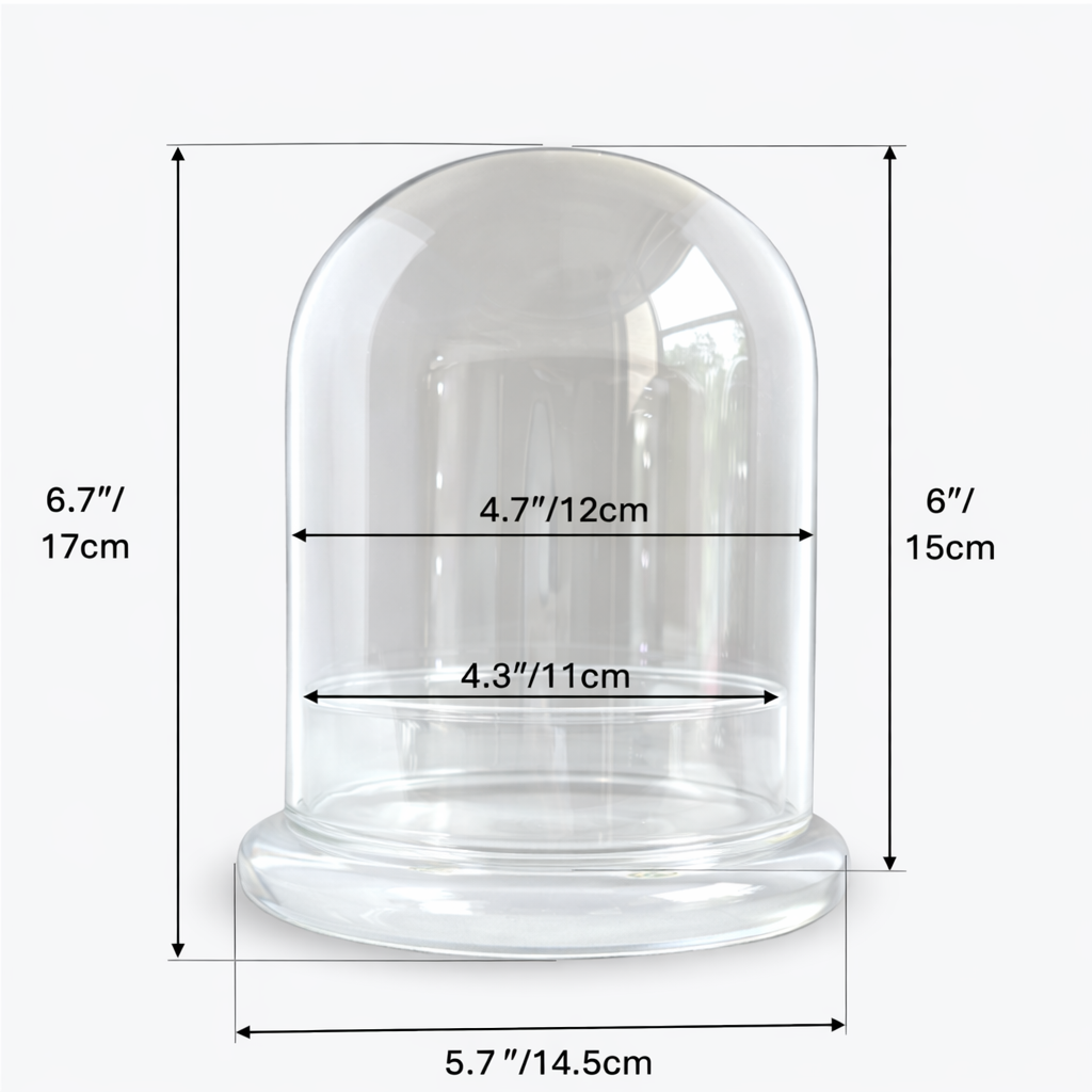 Bloomify Glass Dome Terrarium