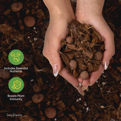 Molly's Aroid Mix - Premium Soilless Potting Mix - 1 Cu Ft