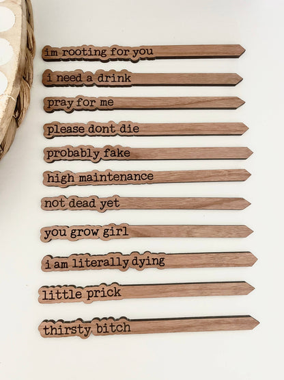 Punny Plant Stakes / Funny Plant Markers
