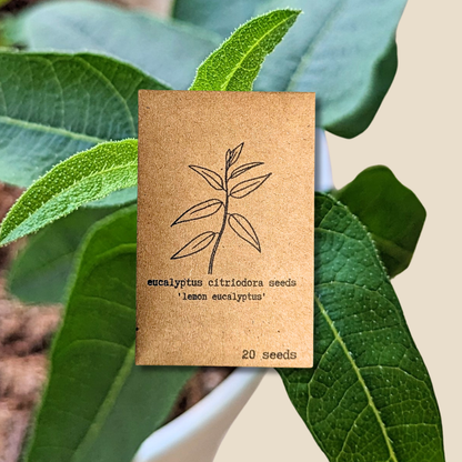 Houseplant & Tropical Plant Seeds