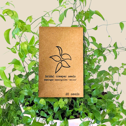 Houseplant & Tropical Plant Seeds