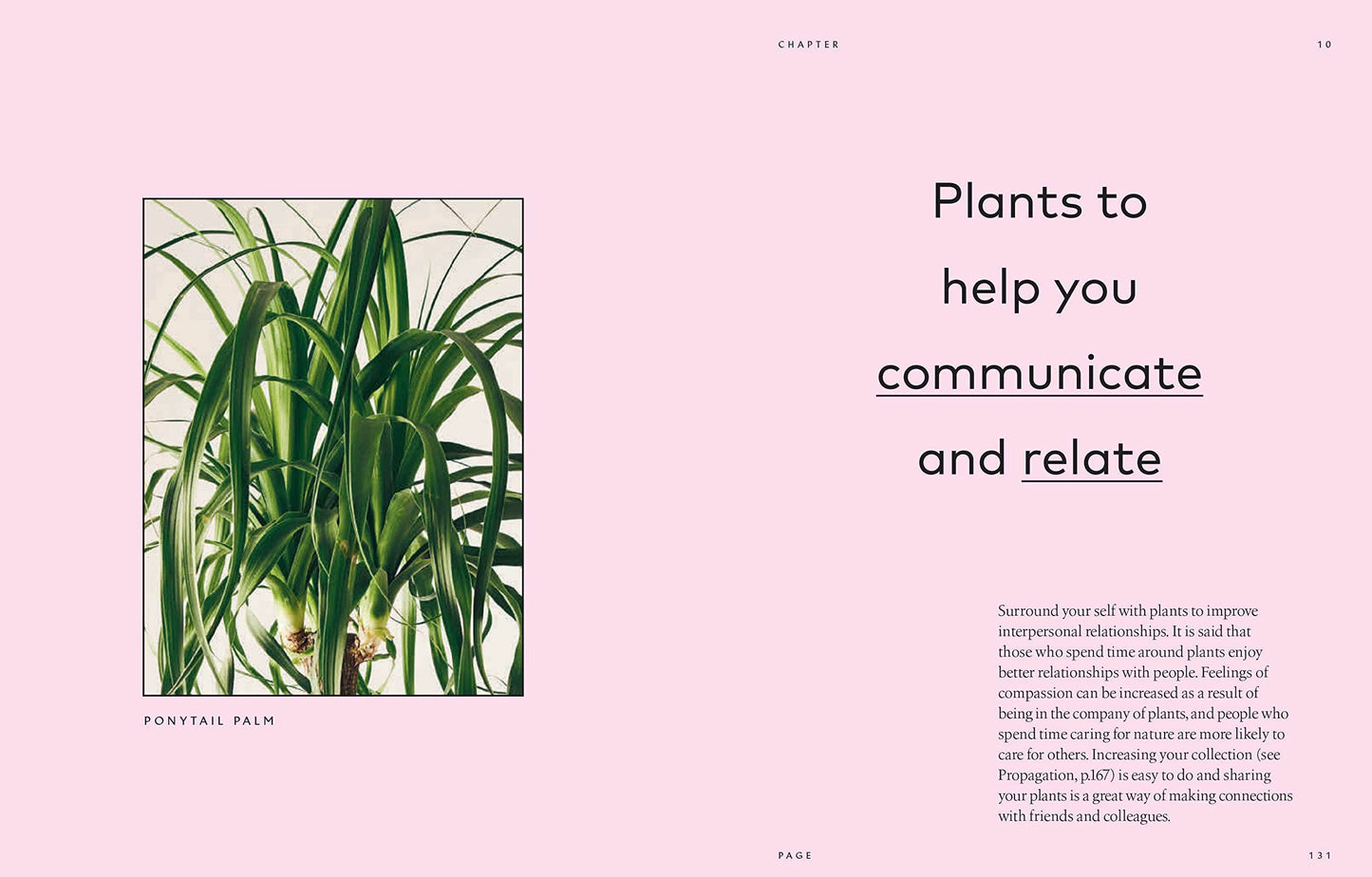 The Healing Power of Plants