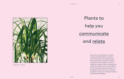 The Healing Power of Plants