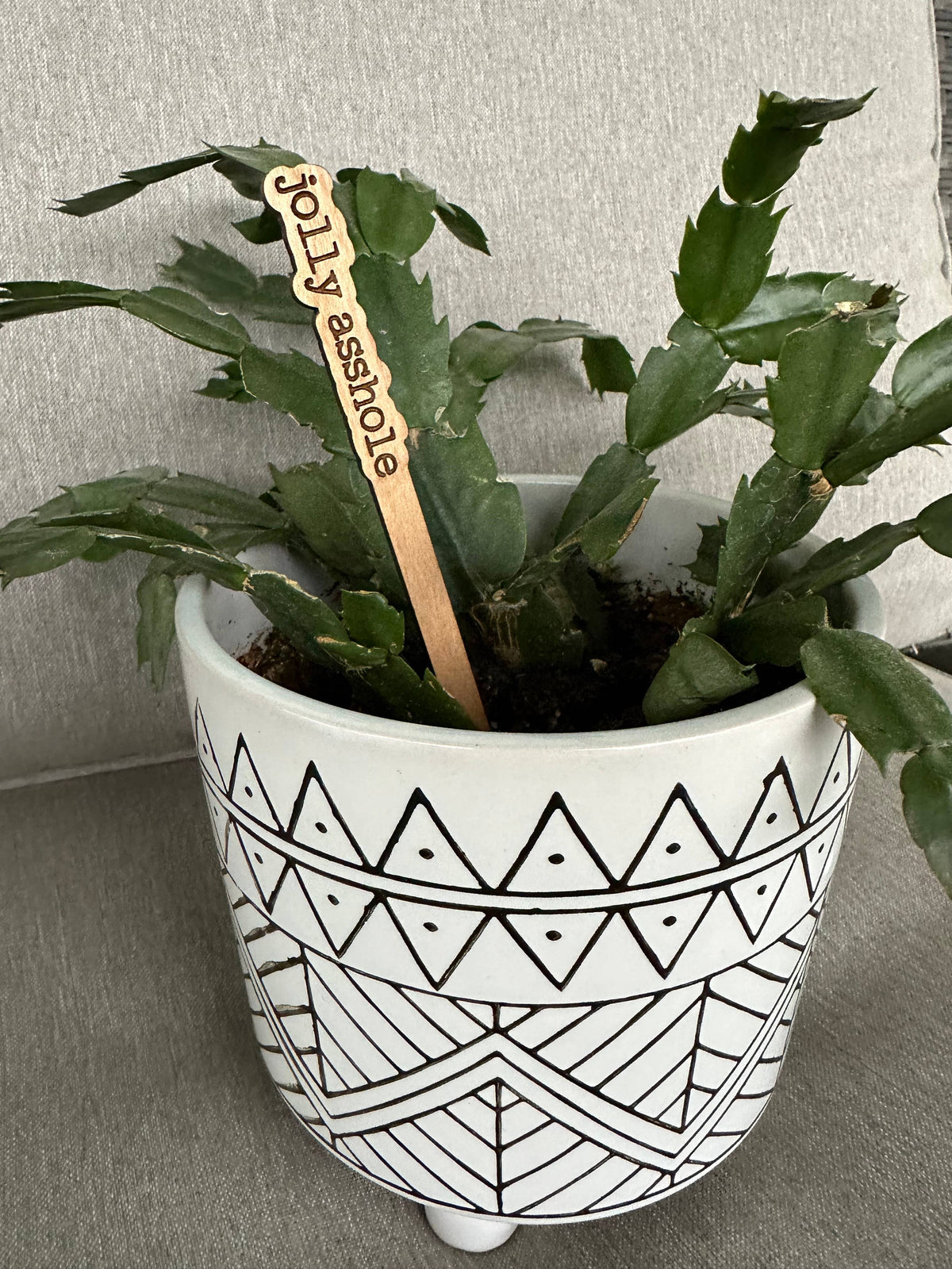 Snarky Holiday Christmas Gift Plant Sticks Signs