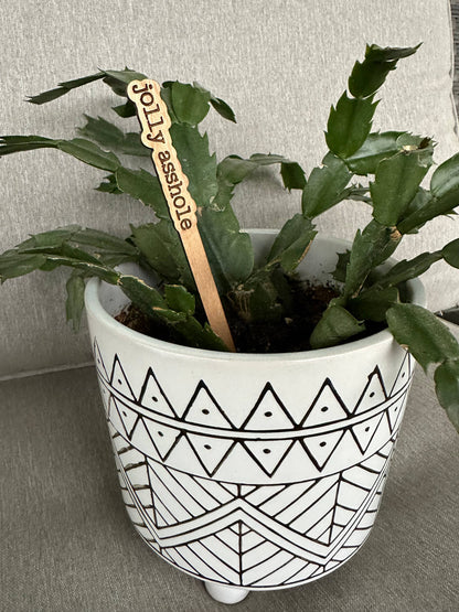 Snarky Holiday Christmas Gift Plant Sticks Signs