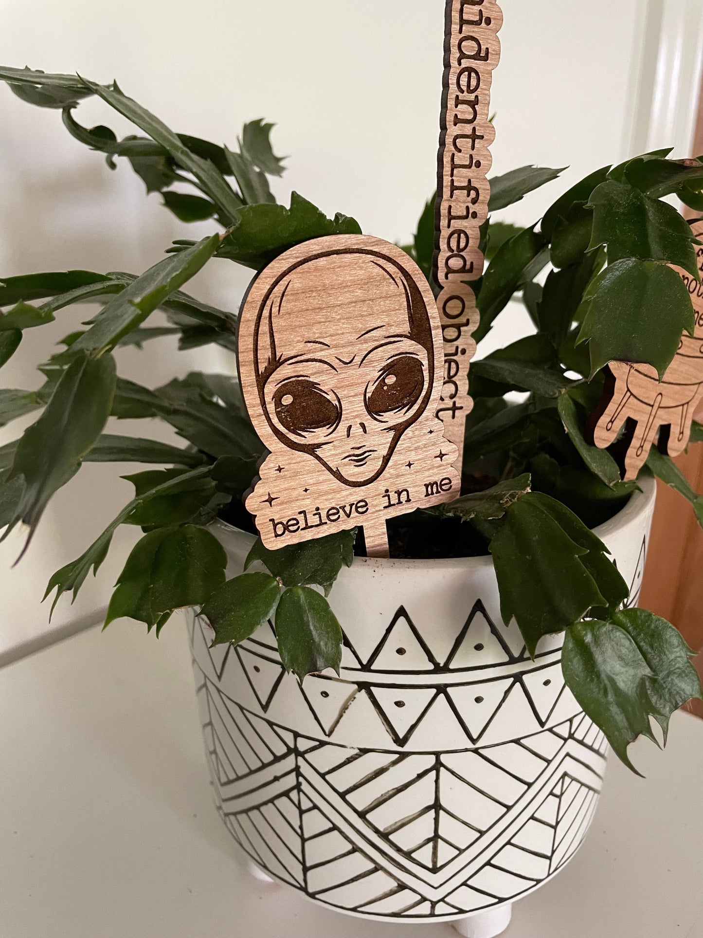 Alien Outer Space Area 51 Plant Signs