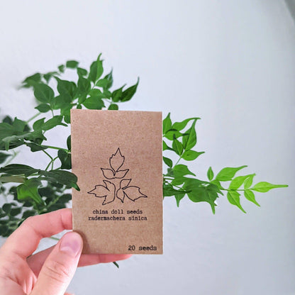 Houseplant & Tropical Plant Seeds