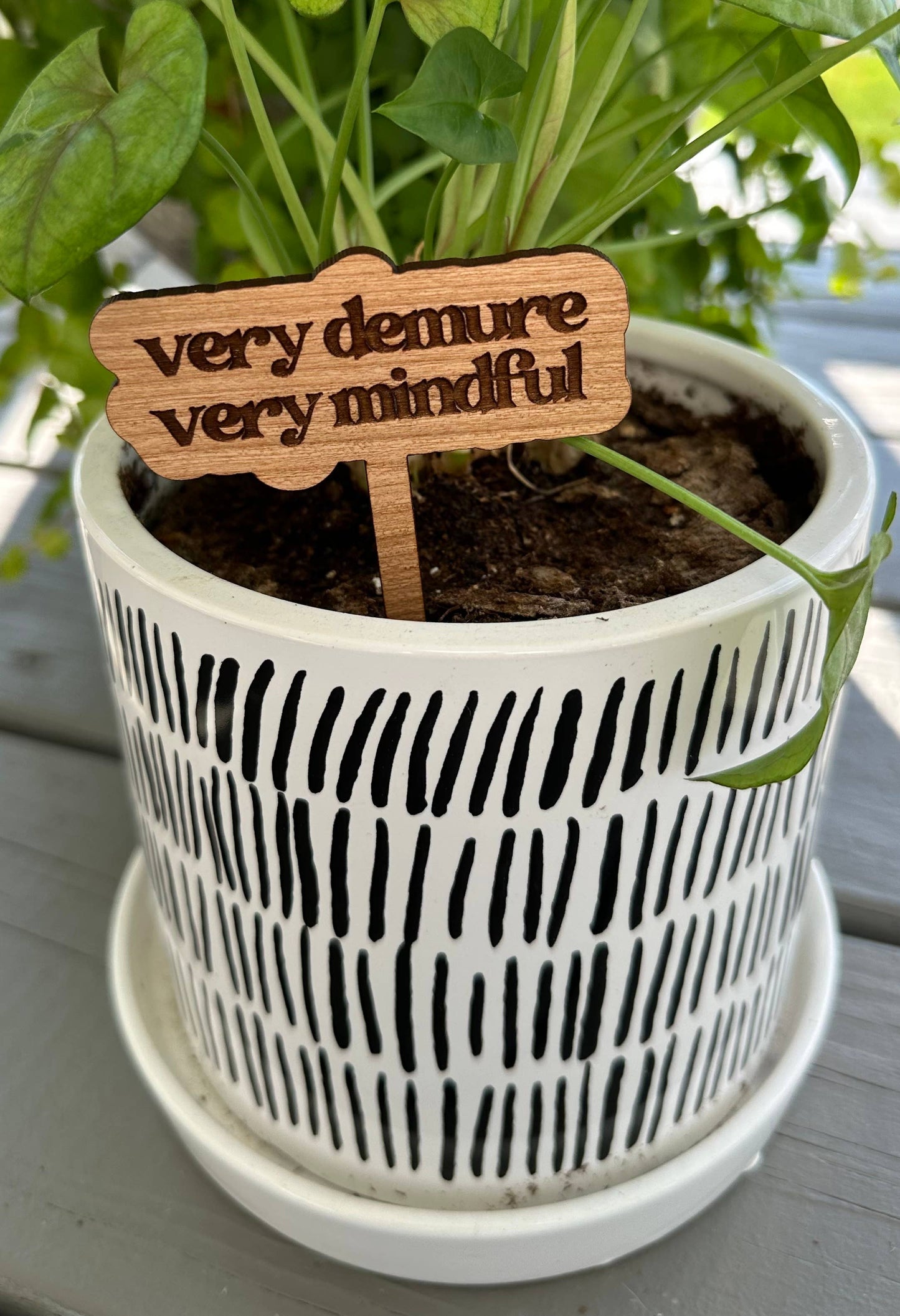 New Plant Sayings Word Bubbles Funny Plant Stakes