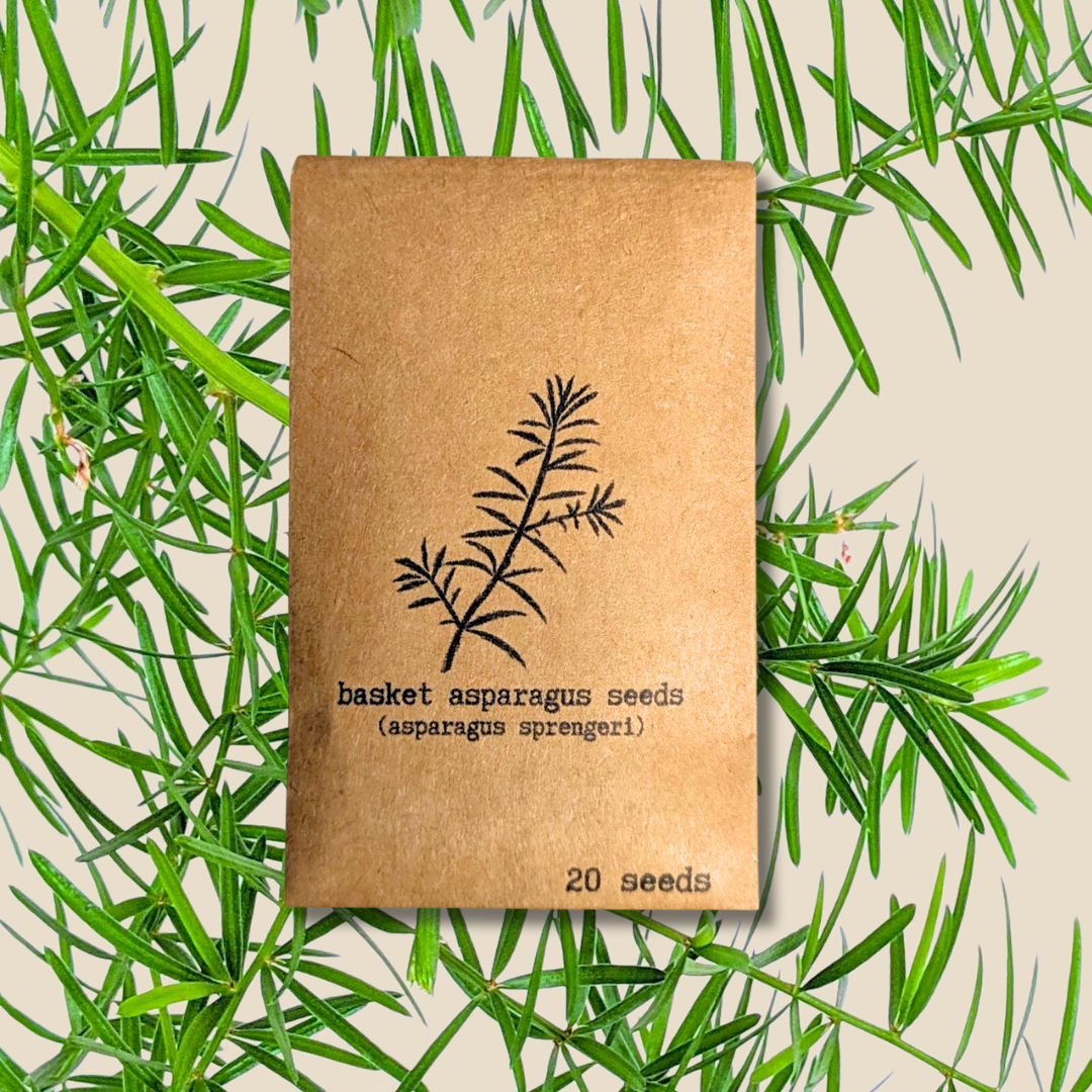 Houseplant & Tropical Plant Seeds