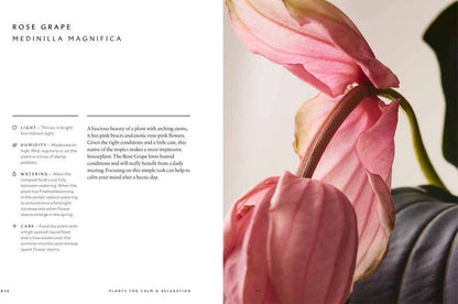 The Healing Power of Plants