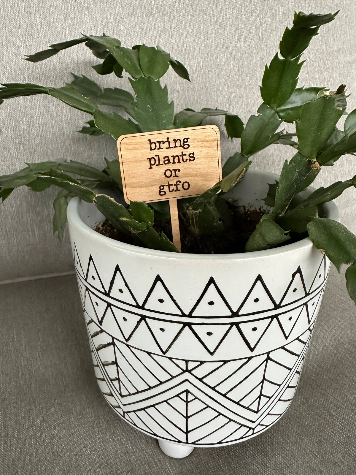 Snarky Holiday Christmas Gift Plant Sticks Signs