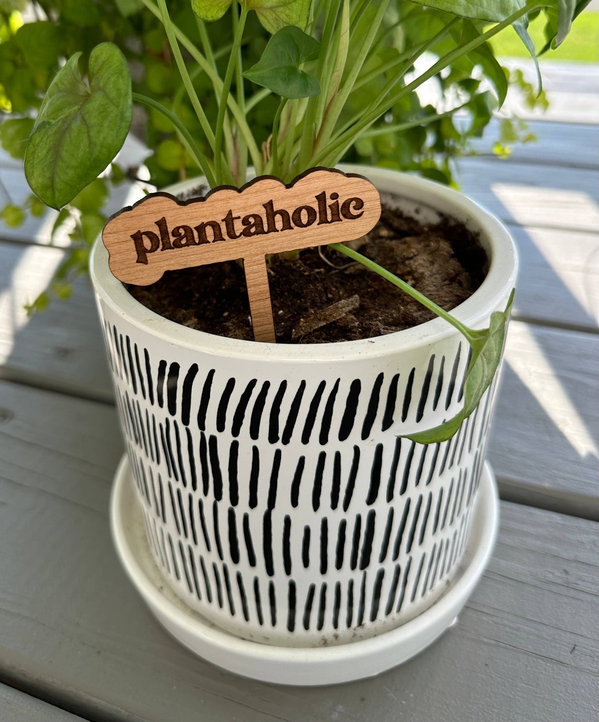 Plantaholic: Funny Plant Stakes
