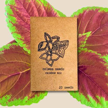 Houseplant & Tropical Plant Seeds
