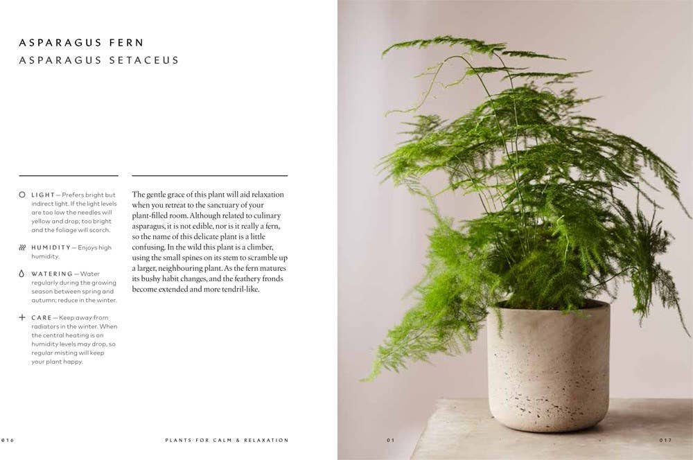 The Healing Power of Plants